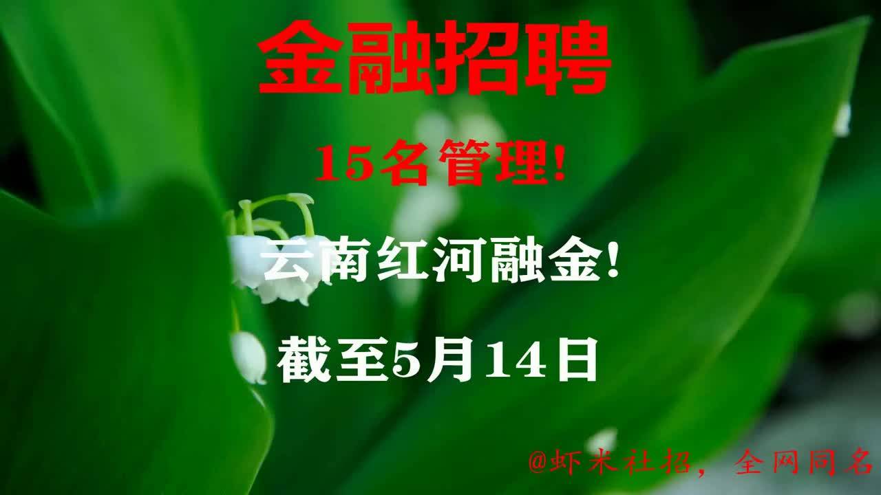 雲南金融招聘15名管理雲南紅河融金報名截至5月14日