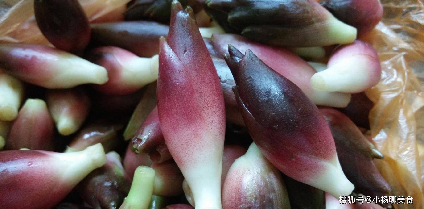 说起阳荷,很多人不知道它,其实呢,阳荷是一道天然