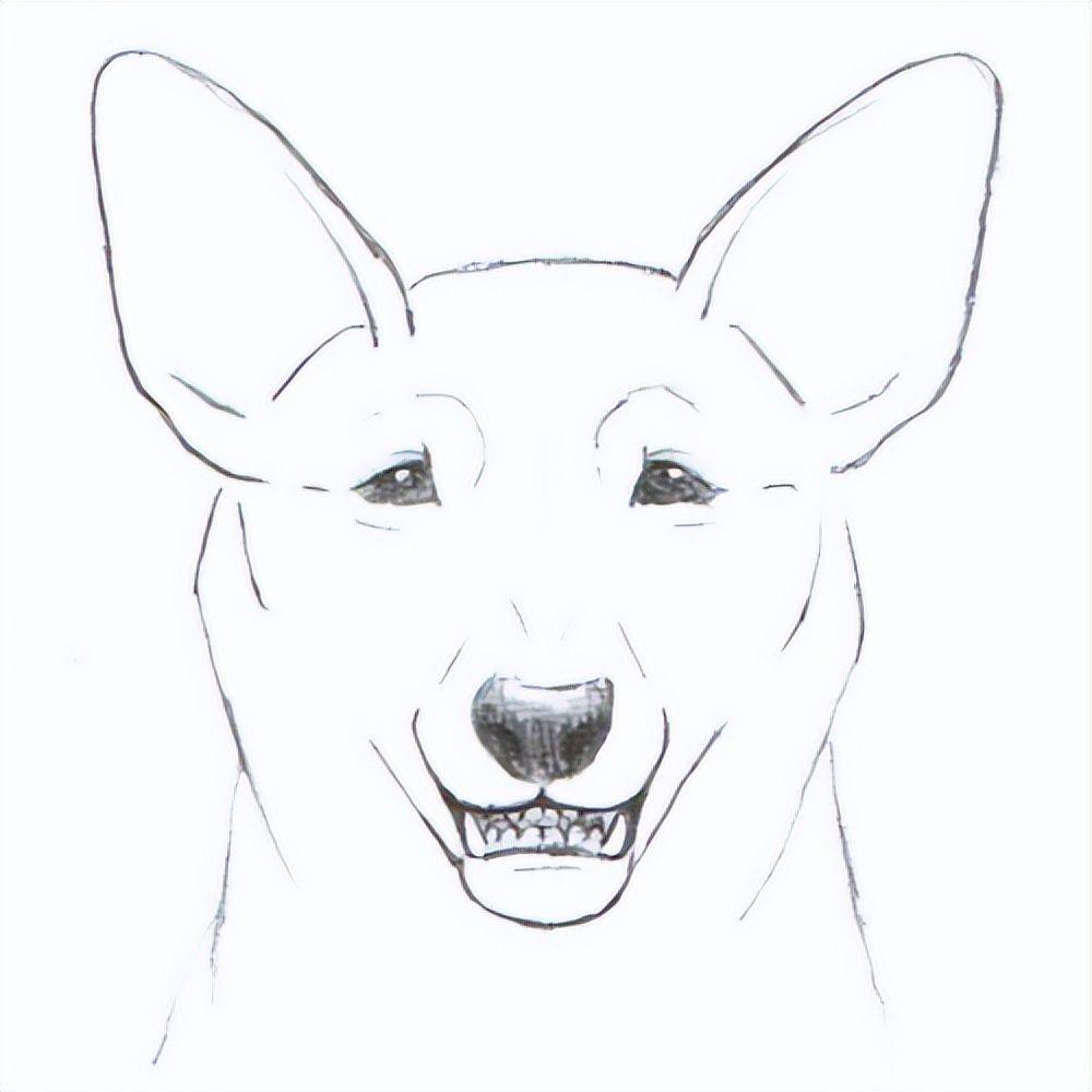 狗脸的画法图片