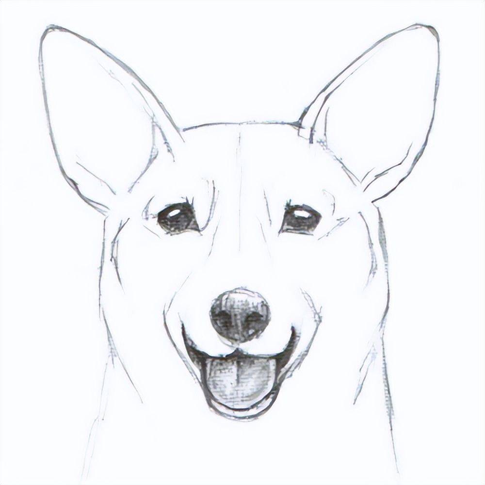 狗脸的画法图片