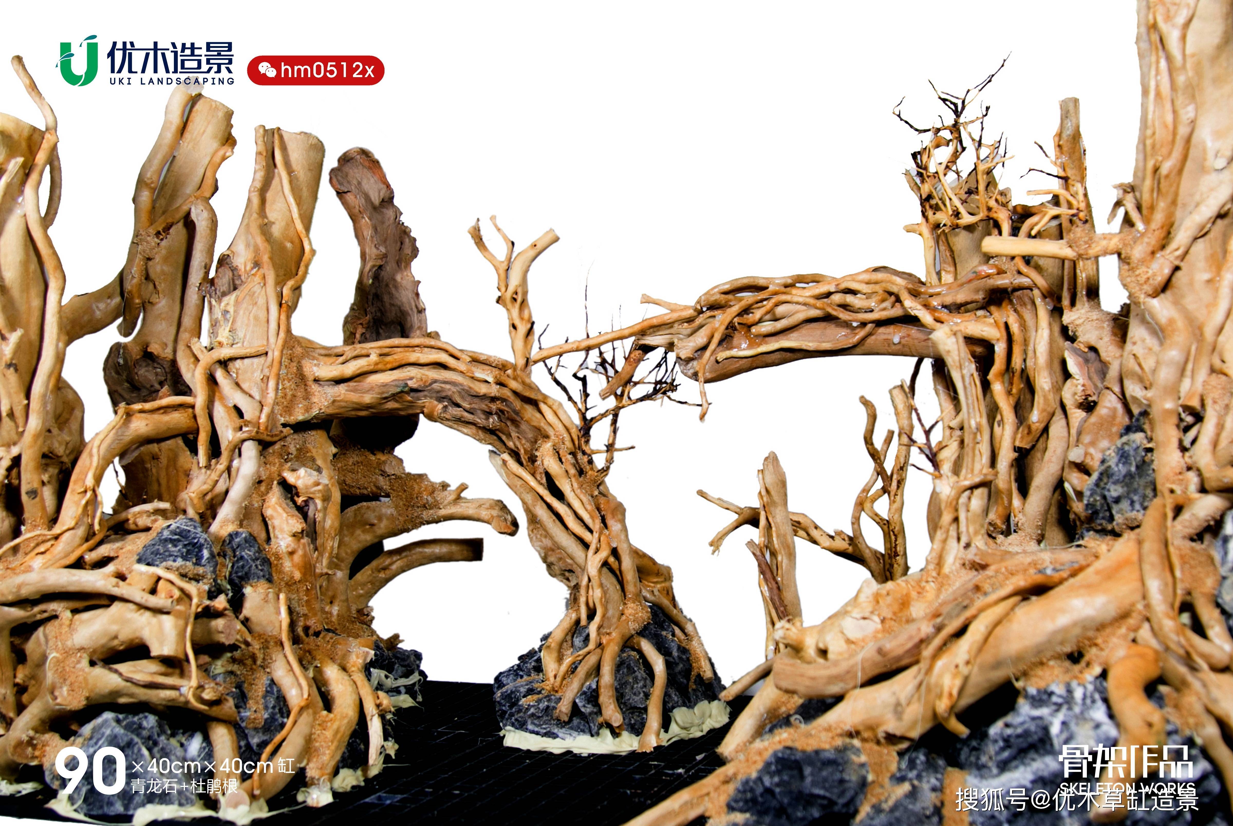 往年的九零缸非对称性的杜鹃根草缸造景骨架作品