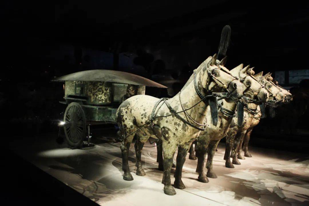 汉字中的文化丨古代的“车”是做什么用的_字形_车轮_牙床