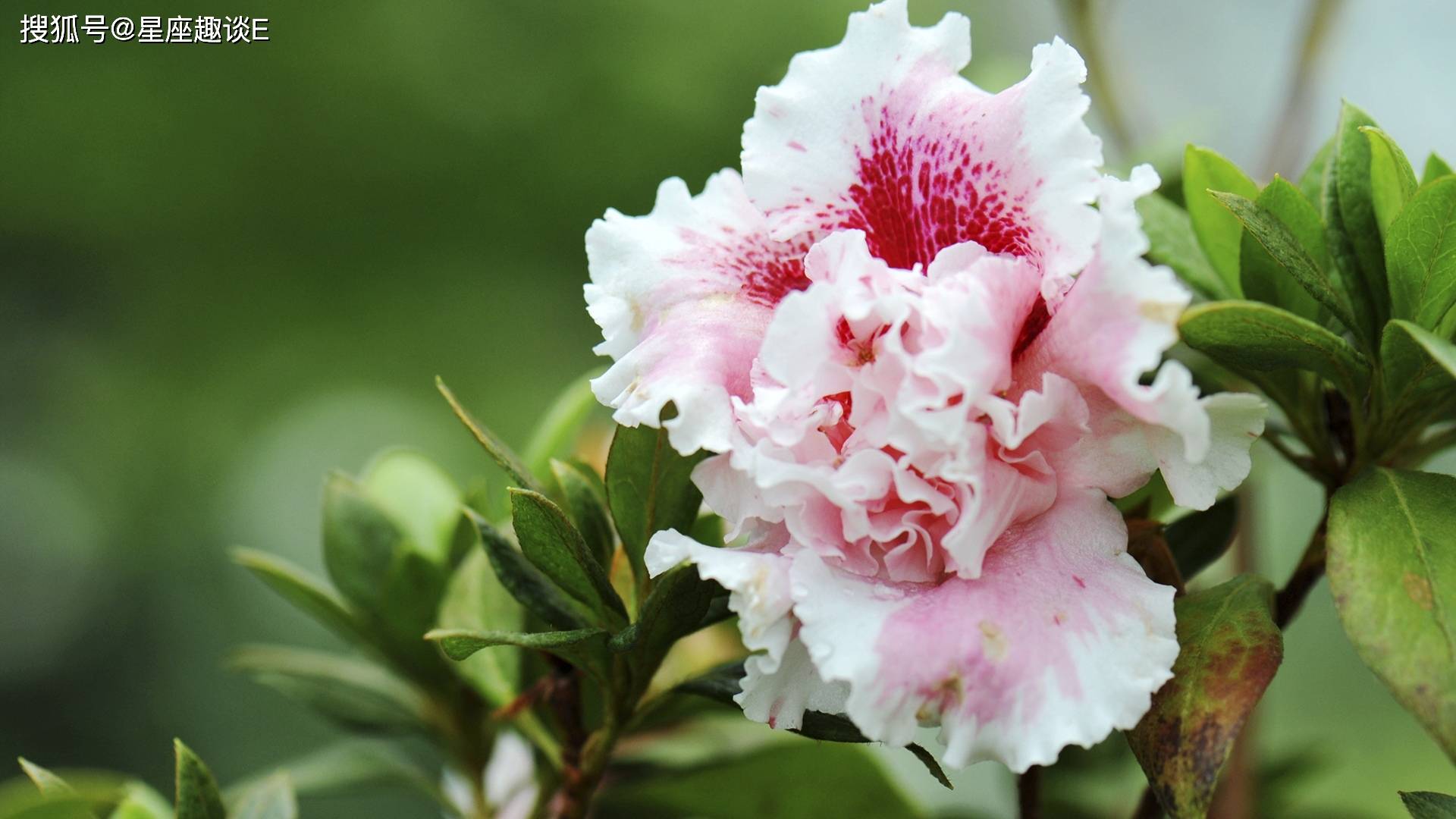 5月13日 19日星座运势 云开雾散 收获丰盈的四大星座 生活 路就会 未来