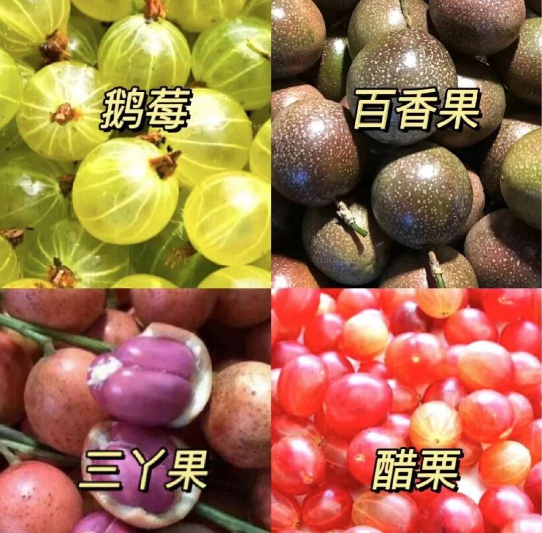 【水果陈列大赛】乐城旗舰店：热带水果季_联商网