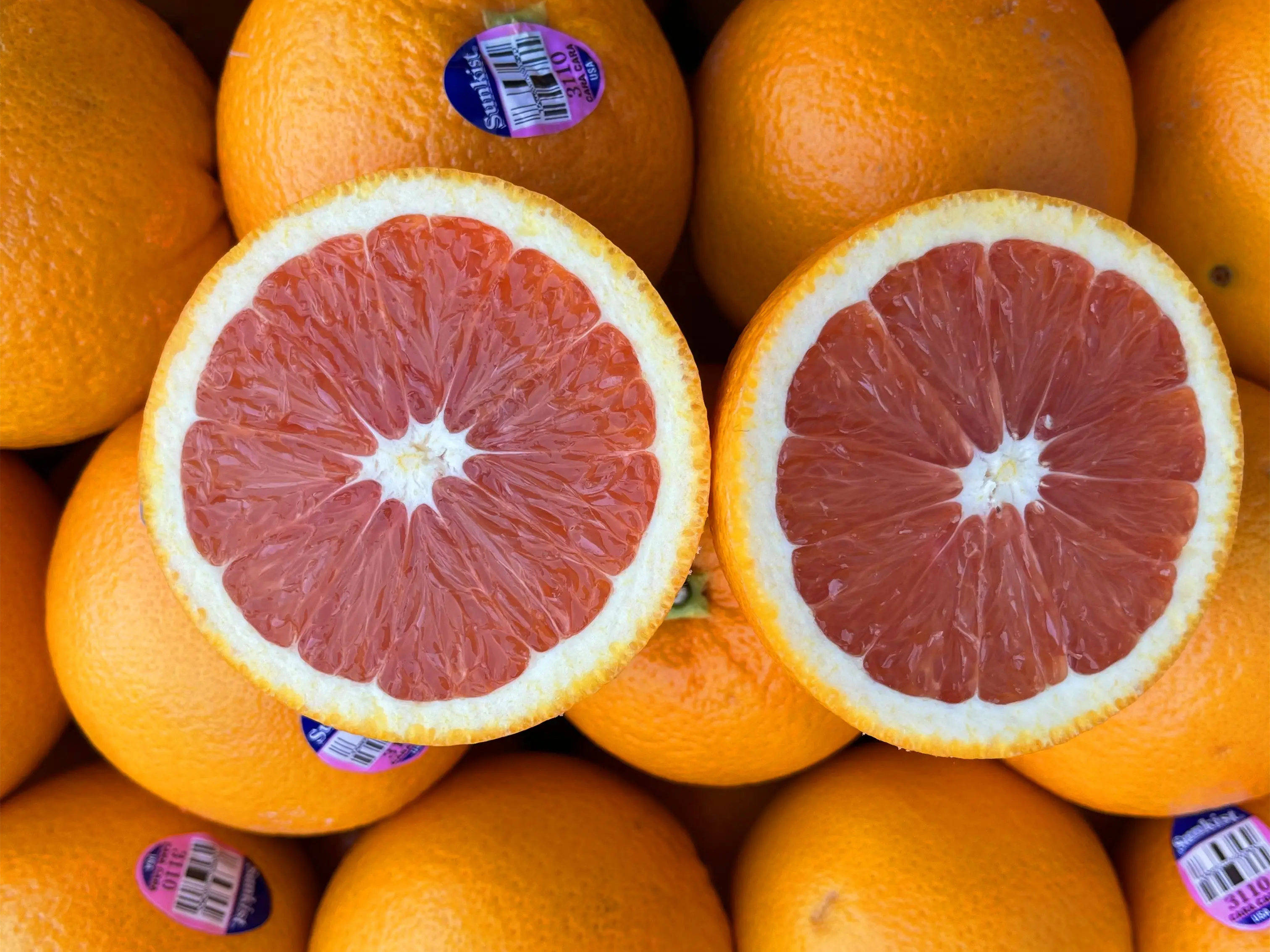 血橙为什么会流血怎样辨别血橙和红肉脐橙