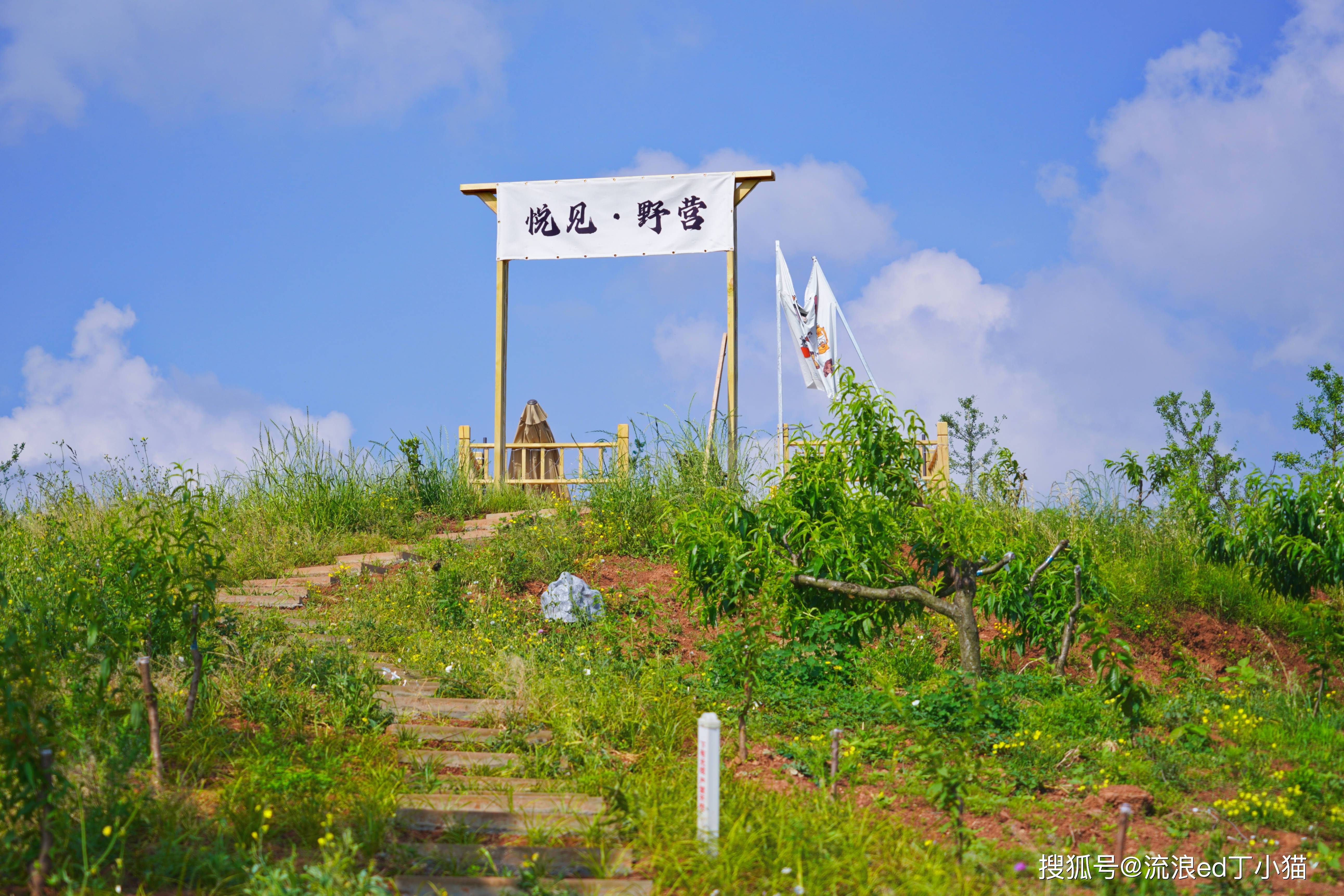 龙泉山观景平台图片