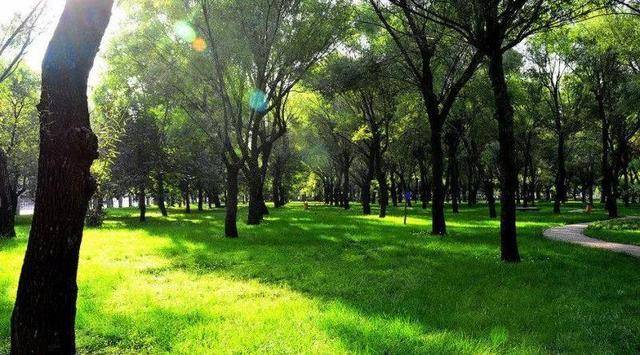 官宣！郑州正在扩建“超大”公园，堪比8个如意湖，预计5月开放
