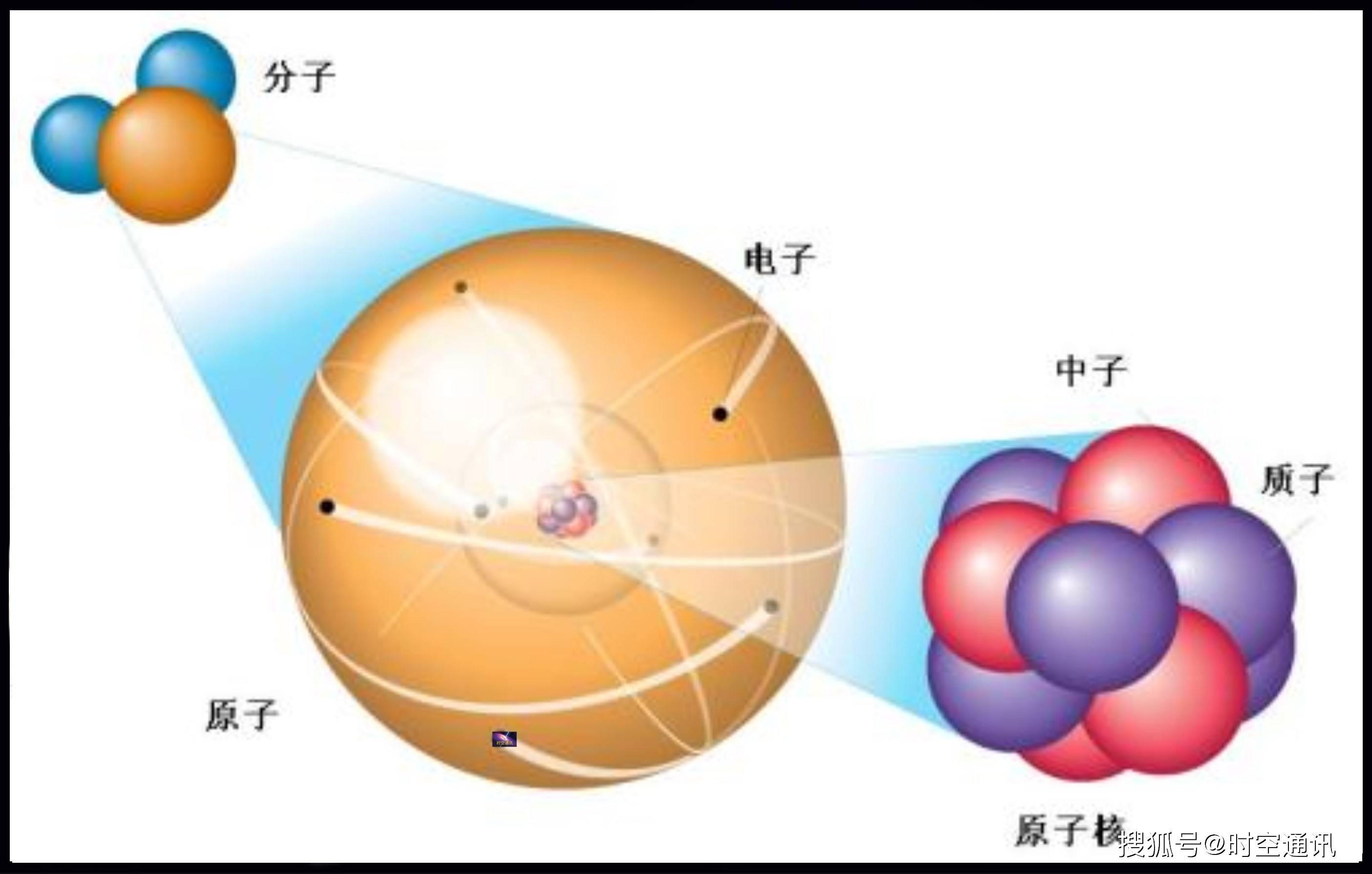 中子的样子图片