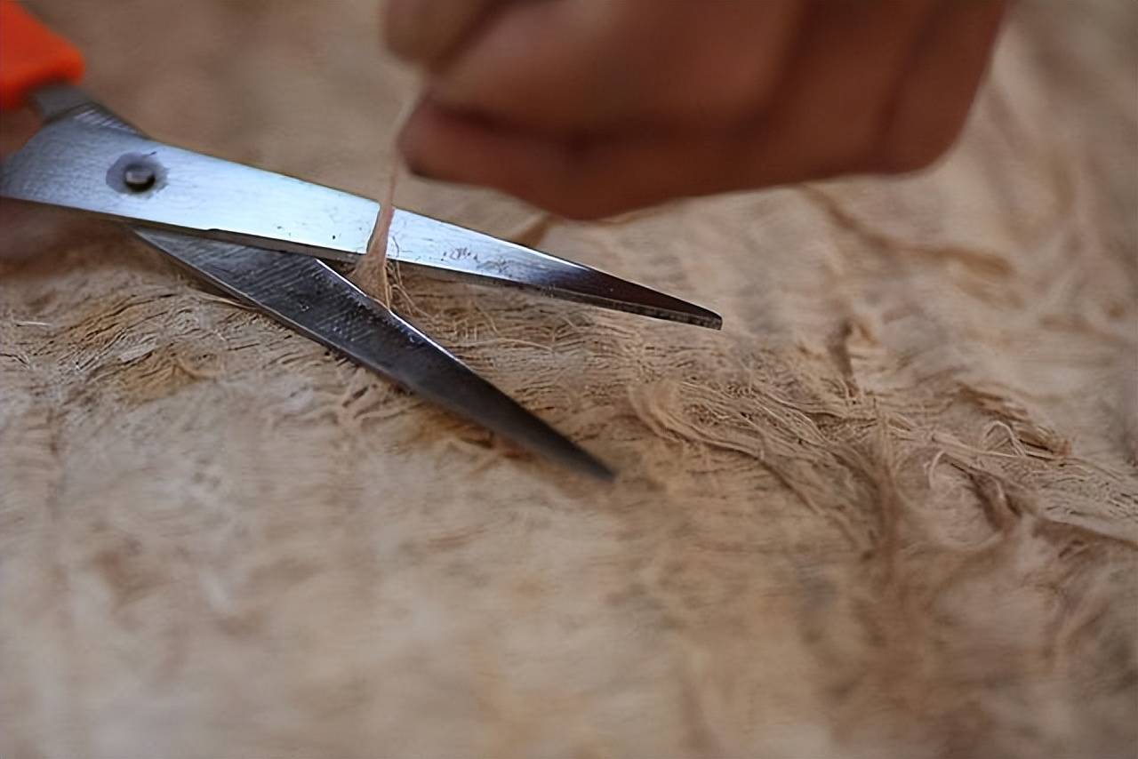 原创
西双版纳有一种“谜”样的树皮衣,可是想做一件衣服,却挺不容易