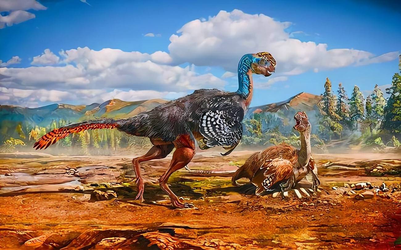恐龙和鸟类的关系暴龙图片