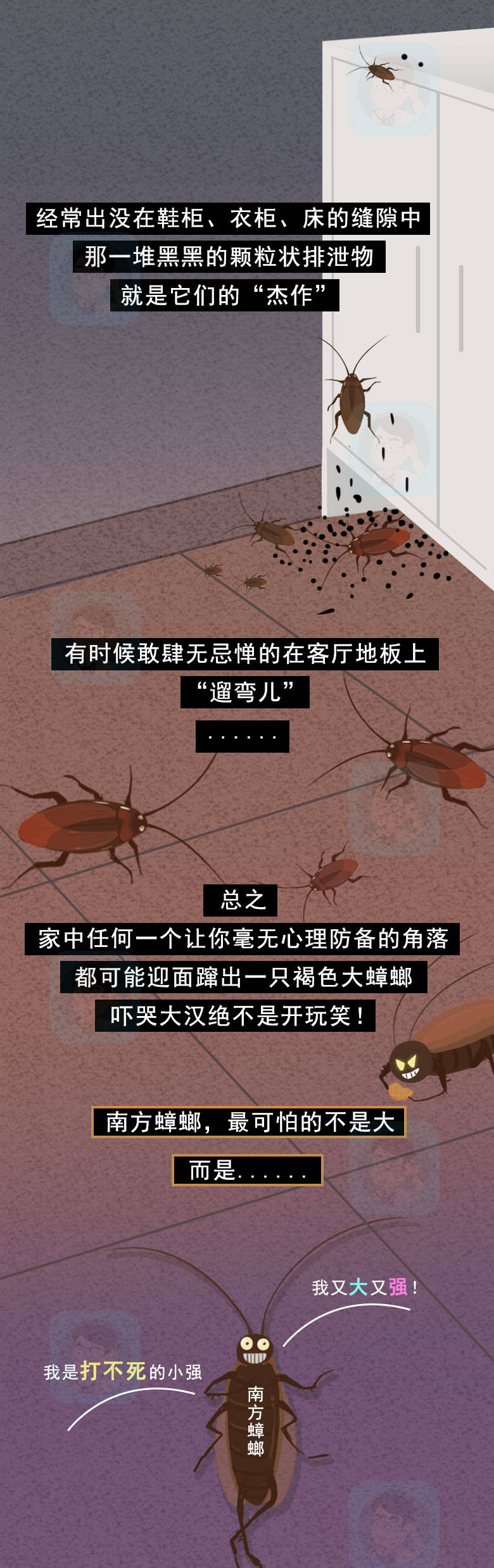 人类一直以来也想尽各种办法与蟑螂作斗争:同时,蟑螂的分泌物,排泄物