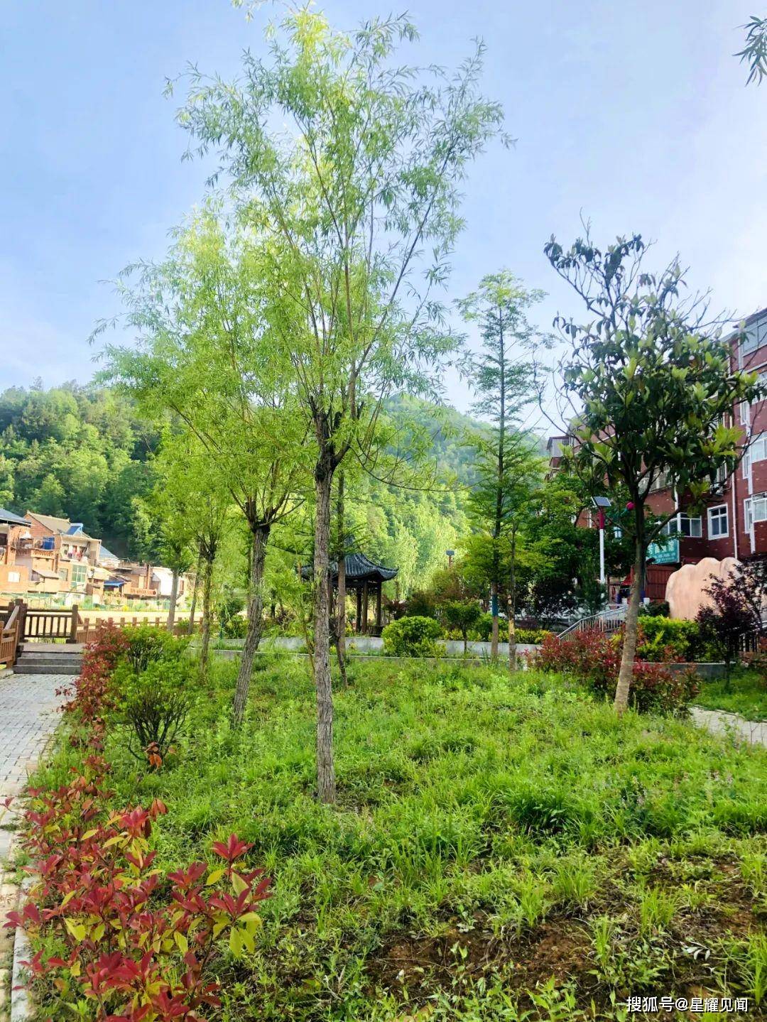 卢氏县瓦窑沟乡:扮靓镇区环境"颜值",提升全域环境"品质"_整治_群众