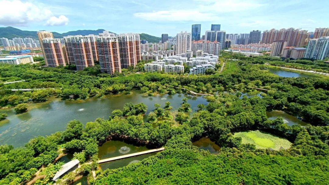 三亚公园88号104155㎡城中央舒适住宅单价45万起