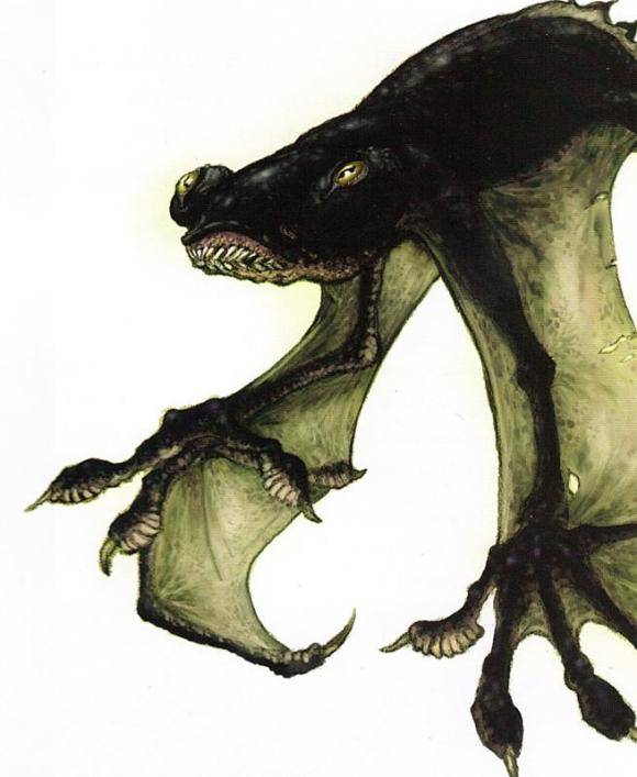 原创分享骷髅岛生物设定两栖动物系列