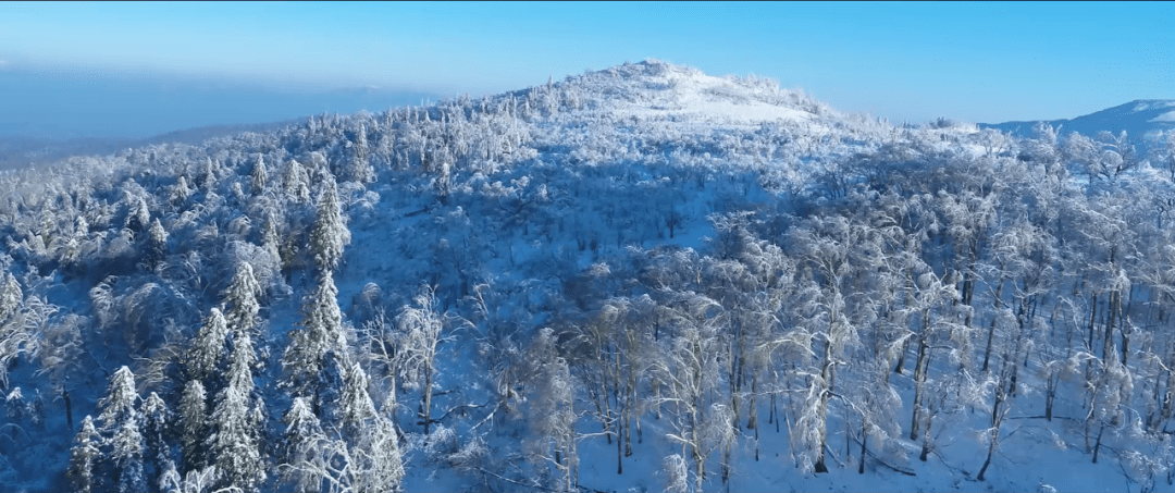 敦化老白山造化钟灵秀旖旎神鹿山