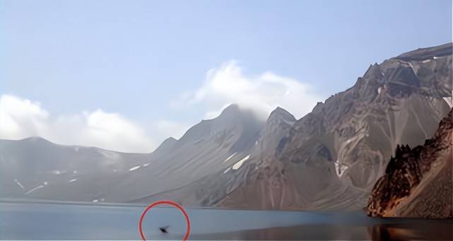 新疆喀纳斯湖再现不明生物！在水面翻出大片波浪，有可能是什么？
