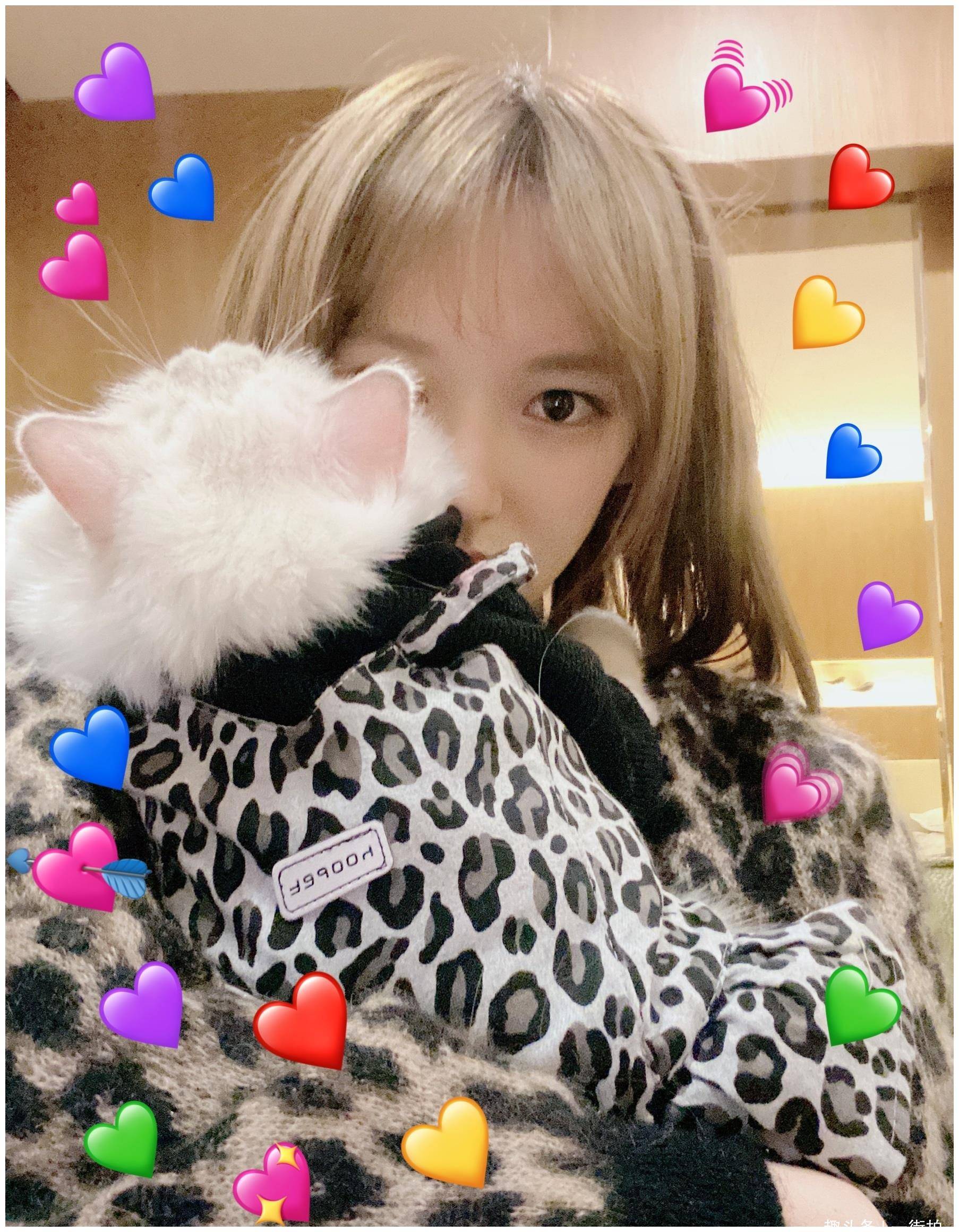原创程潇晒与宠物猫合照与爱猫同穿豹纹衣都是傲娇小仙女
