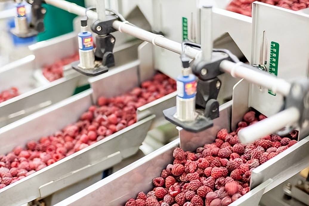 真空冻干技术低温烘焙工艺加持果蔬脆片披上休闲零食外衣