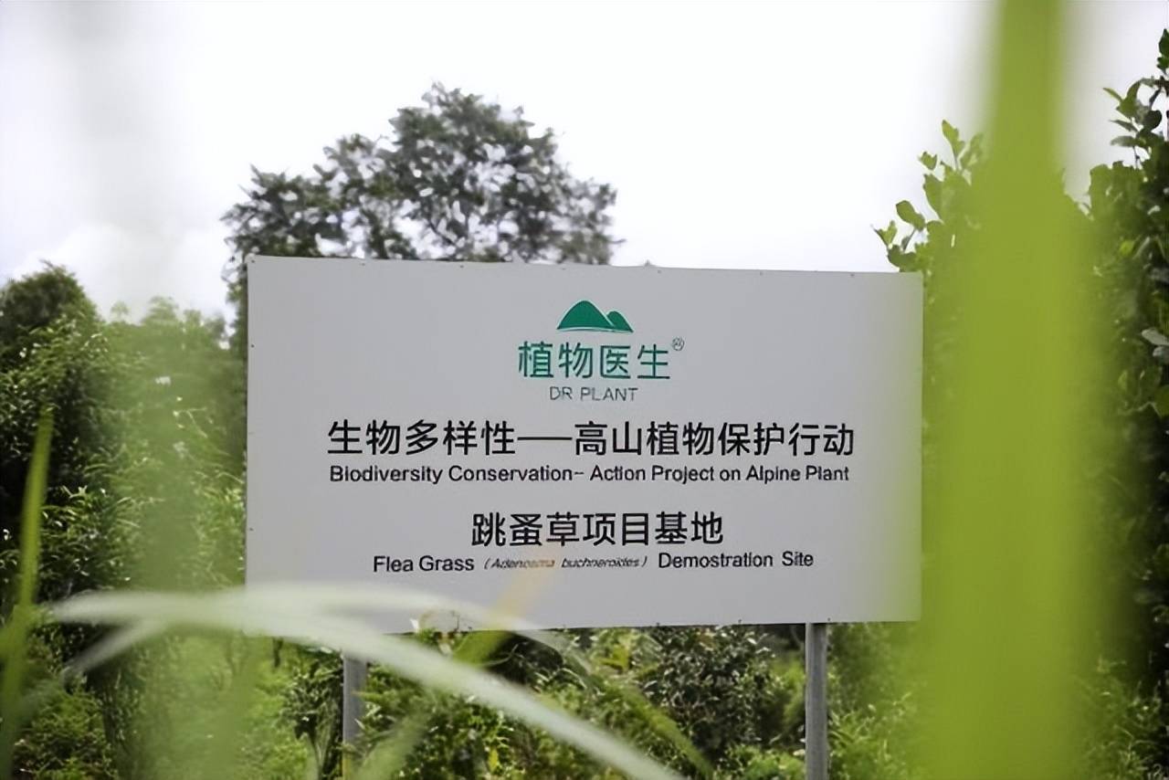 牢记使命,植物医生多方动员助力保护生物多样性_生态_企业_联合国