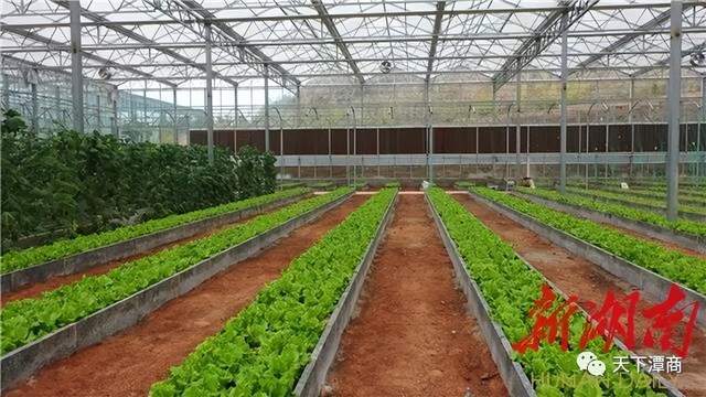 当地工作人员抱怨,联系上刘伟庚不容易,电话经常打不通,人也时常玩"