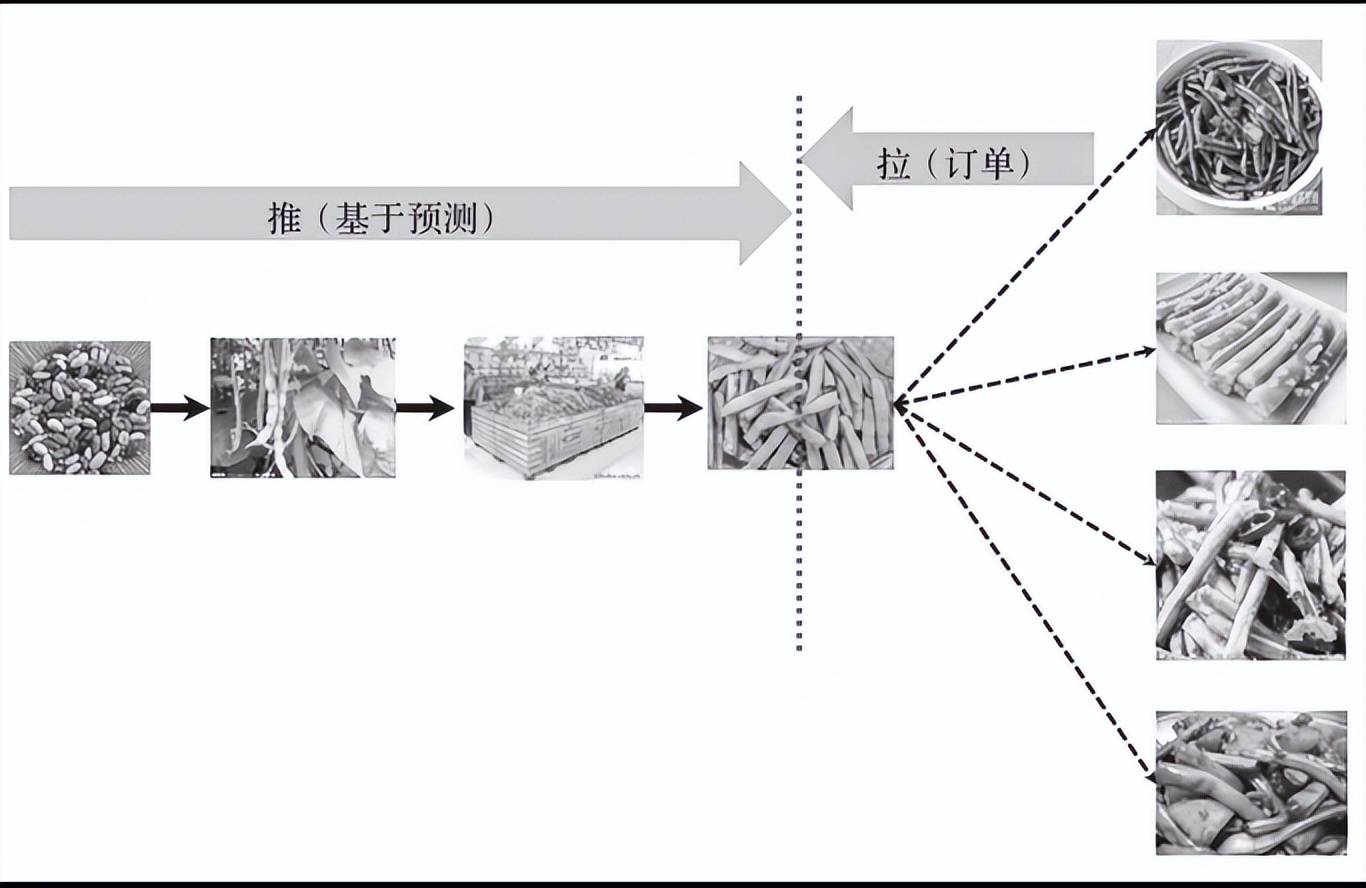 cppm讲解供应链的推拉结合与戴尔的直销模式1