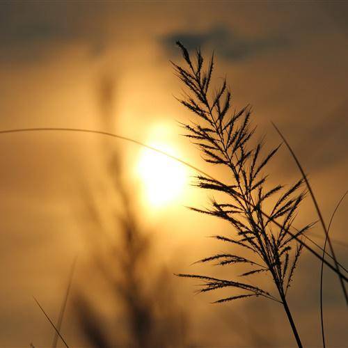 夕阳风景头像光景交融的日落黄昏的夕阳唯美图片