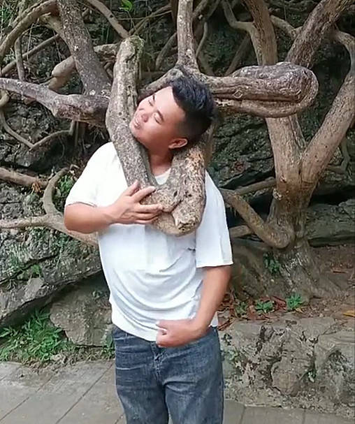 贵州一男子将头伸进树杈拍照，不料被卡脖遭游客围观，尴尬至极