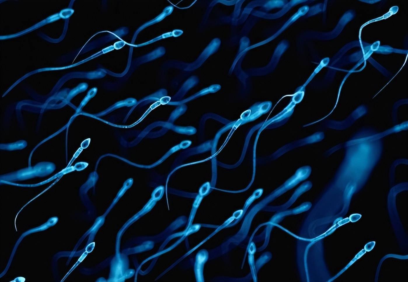 原创更偏爱某些人的精子甚至为其开后门人类卵子为何这样做