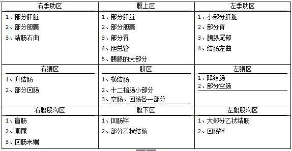 腹部四分法图片图片