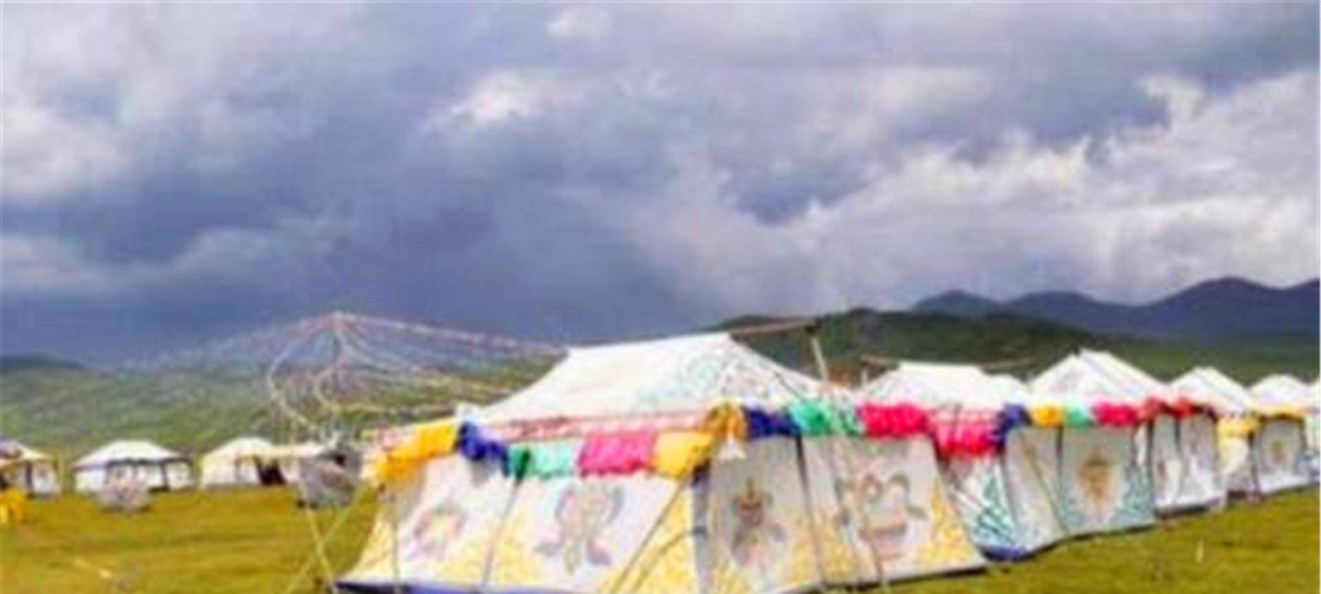 西藏路边的白色帐篷，为何不能进？当地人称进去容易出来难