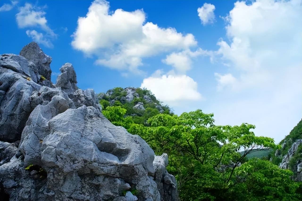 景区由大古山,三衢山,小古山三部分组成,以天坑,紫藤峡谷,石林迷宫等