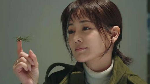 张定涵_角色_电视剧