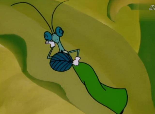 为什么母螳螂要吃夫不是为了下一代原来我们被骗了很多年