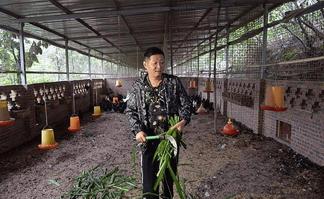 原创三德子赵亮从艺26年难红靠养鸡逆袭身价上亿娇妻小他15岁