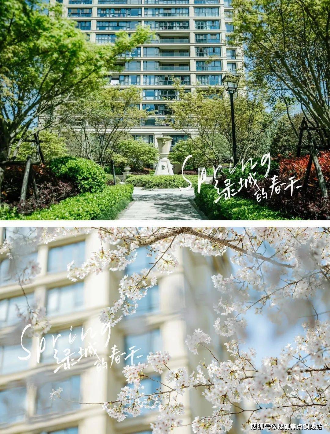 【官网】余姚绿城金茂春澜璟园售楼处电话是多少?