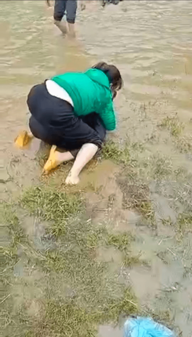 回顾2名女子抢河鱼大打出手,姐妹情放一边,女子:有3000元奖金