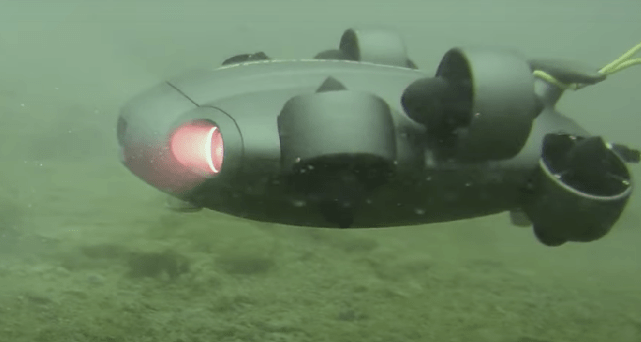 科企岛：测量类机器人 可以潜水标记动物