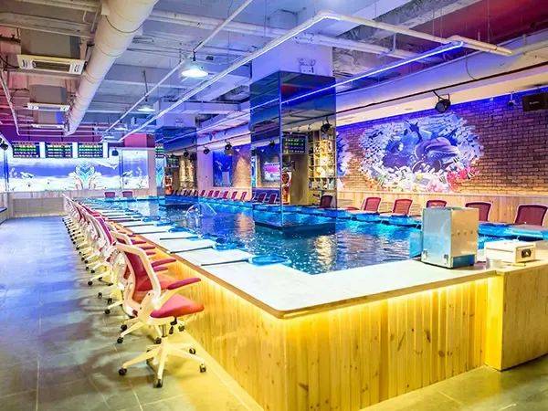 全淄博寻锦鲤柳泉路首届海洋节三大活动嗨翻端午小长假