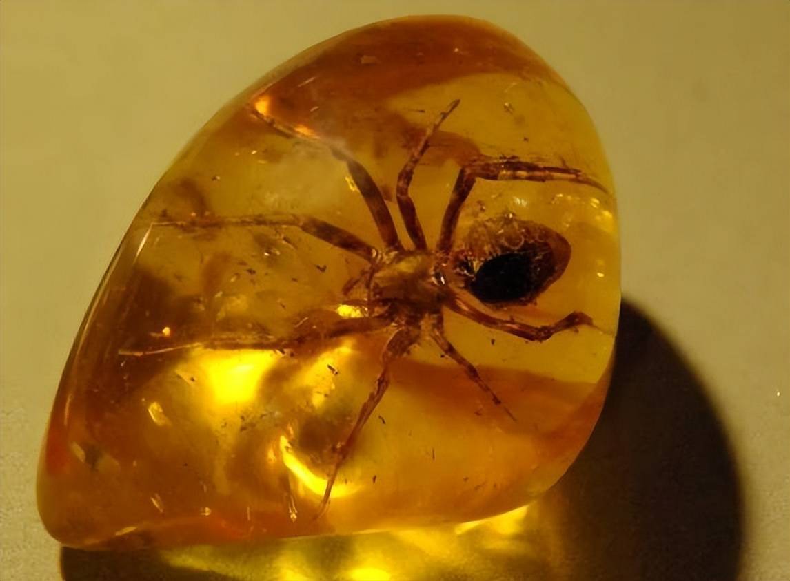 原创琥珀里昆虫万年不腐古人为何不用琥珀给尸体做防护有何猫腻