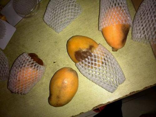 小时递寄水果用什么快递比较好新鲜水果怎么寄当日达快递