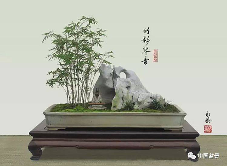 陈茂芳:感悟竹石盆景