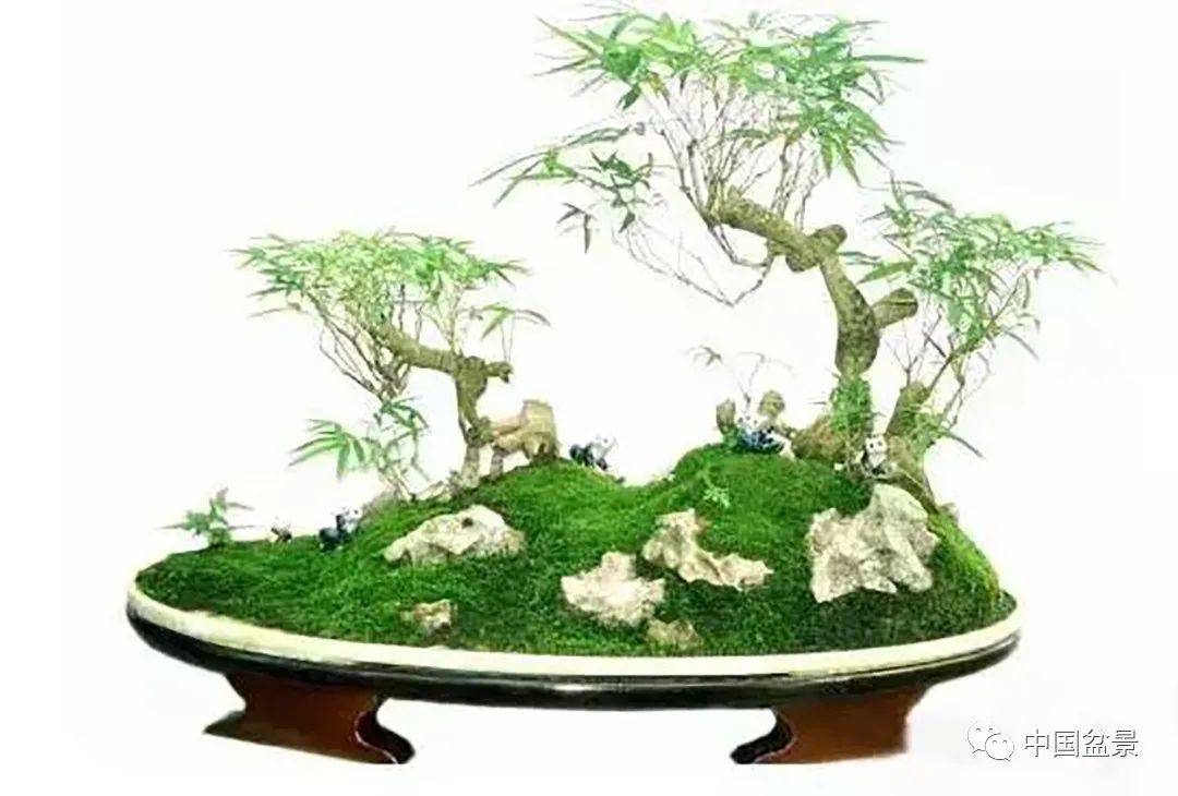 陈茂芳感悟竹石盆景