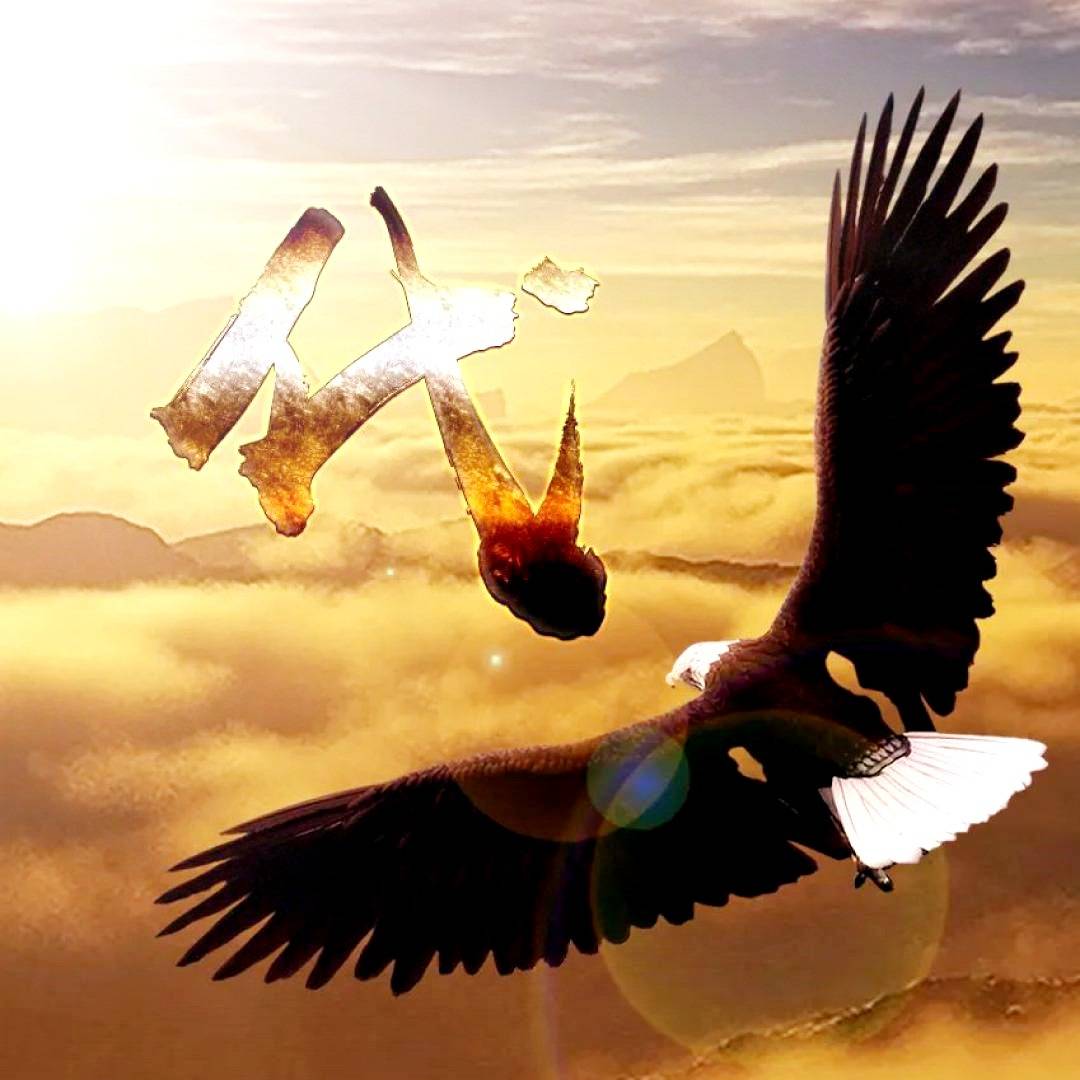 六月你的微信头像该换了50张超越自己3d个性签名头像喜欢请带走