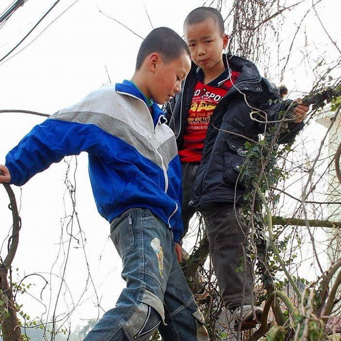 原创熊孩子兄妹调皮去捅马蜂窝脸肿成猪头亲妈忍不住笑了