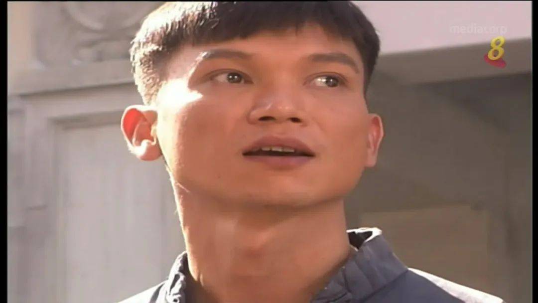 汇集了谢韶光,许美珍,曹国辉,李锦梅,林湘萍,郑斌辉,淳于珊珊等当时