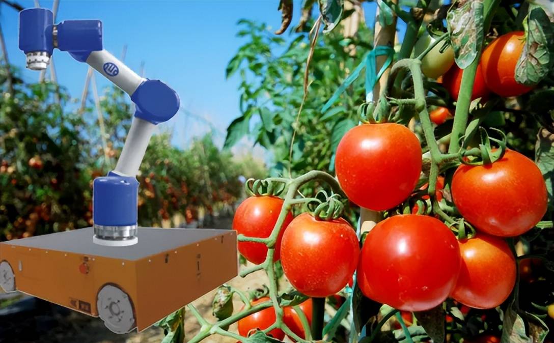 因此,以采摘机器人为首的农业机器人成为