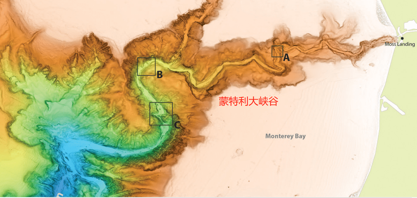 地形圖上發現,在美國的加利福尼亞州的近海大陸架上卻有著數條大峽谷