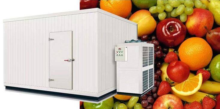 生乾冷库安装小型水果保鲜冷库建设需要多少钱一平方