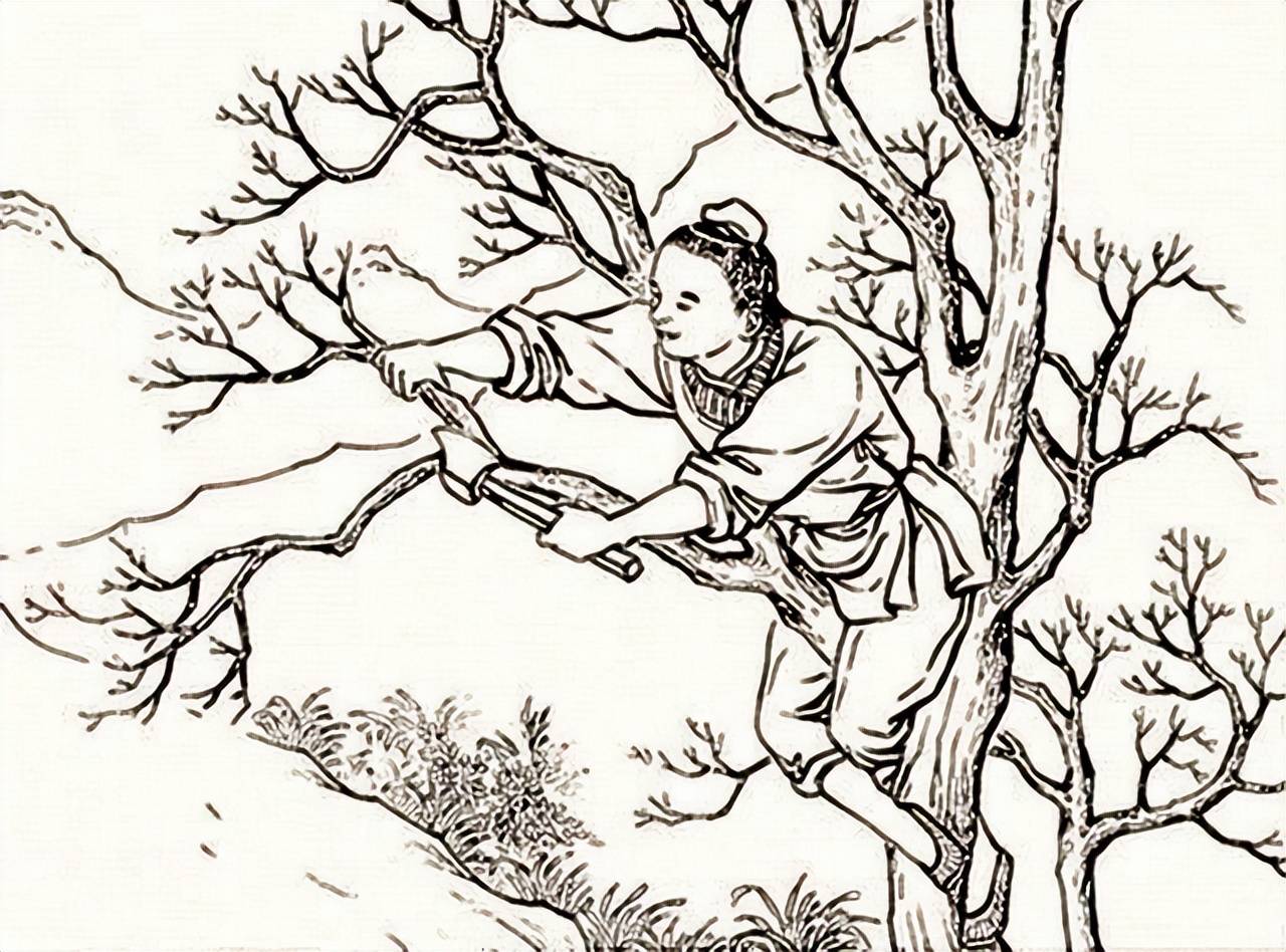 民间故事:老妇放生行善,三个女儿却接连守寡,神婆:自己造的孽_黄氏