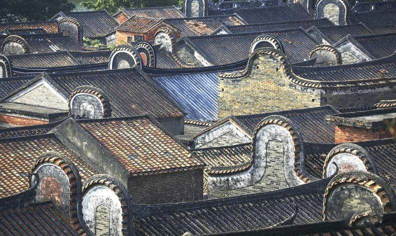 【三水花海】(每周六/周日)佛山三水花海长廊 长岐古村 芦苞渔村 一